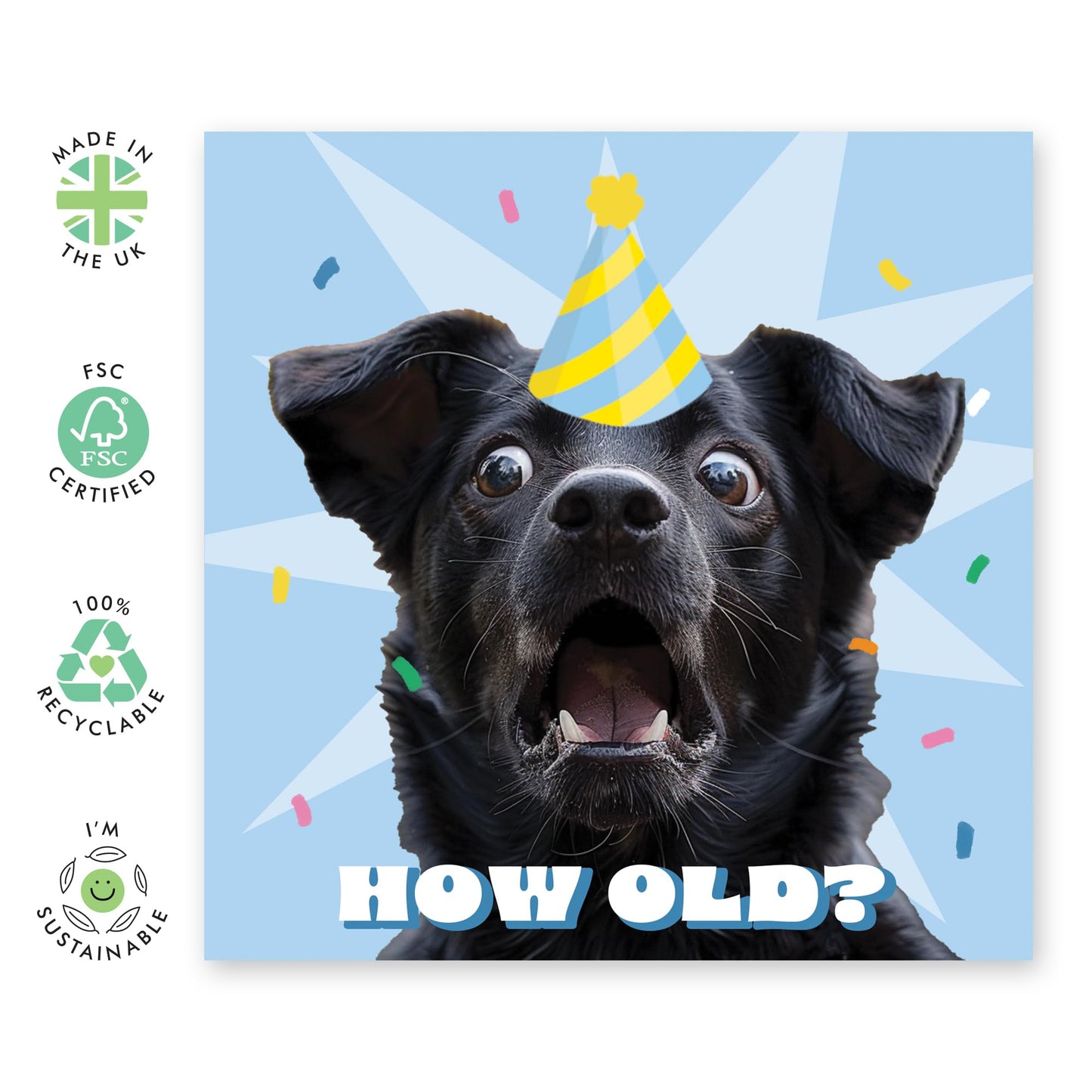 HOW OLD DOG