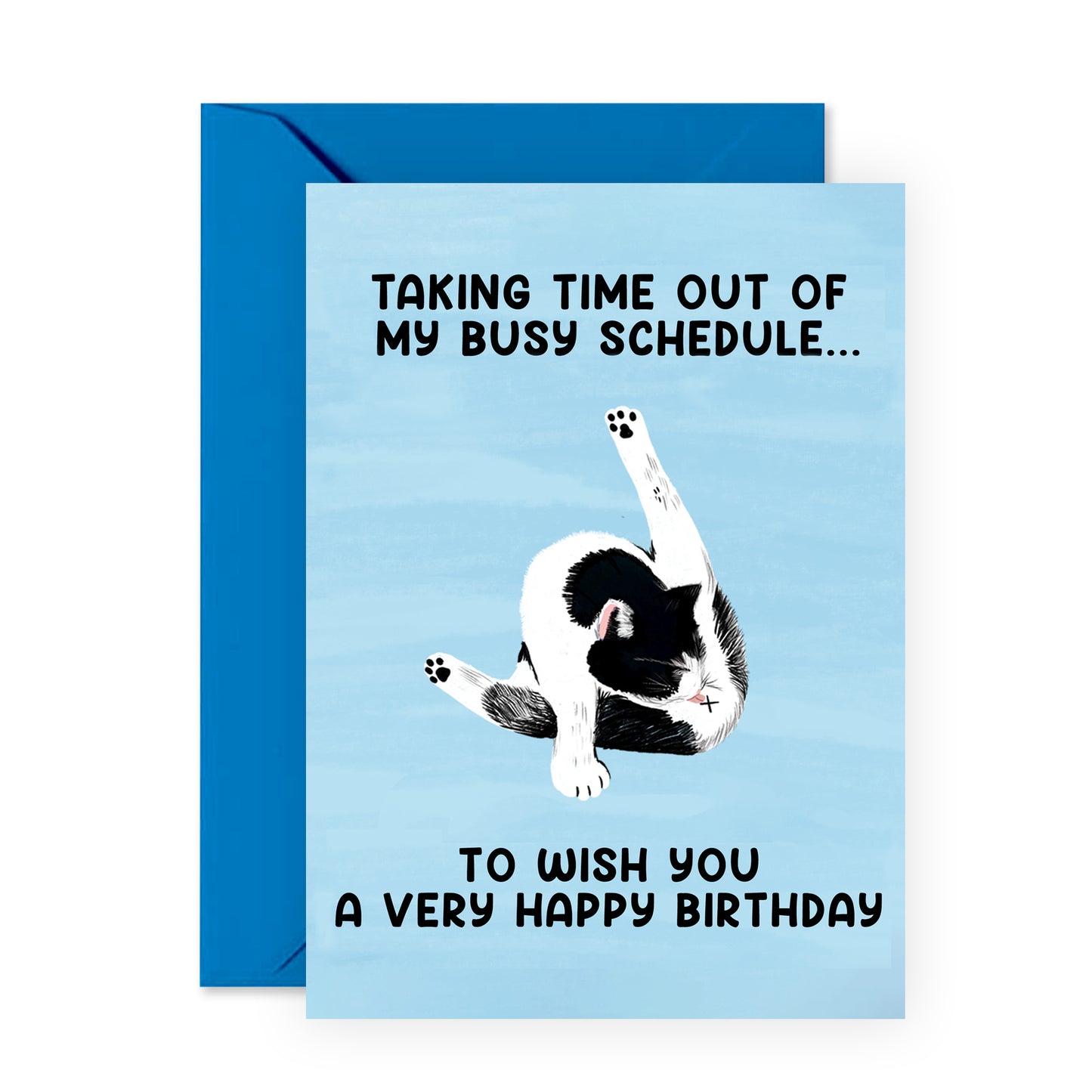 Cat Birthday Card - Taking Time Out Of My Busy Schedule - For Men Women
