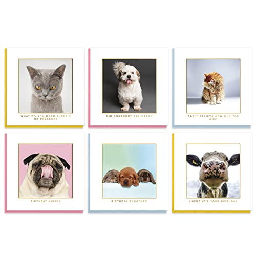 Cute Animal Birthday Cards Multipack - 20 Pack Assortment - For Men Women Boys Girls Him Her