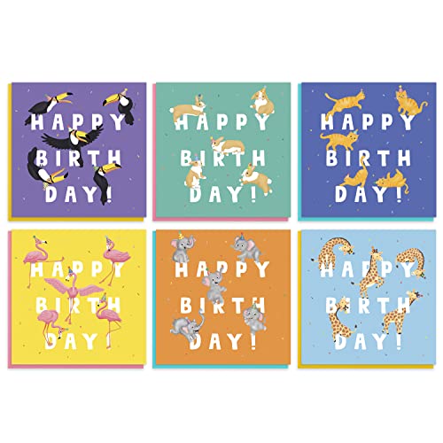 Cute Animal Birthday Cards Multipack - 20 Pack Assortment - For Men Women Boys Girls Him Her