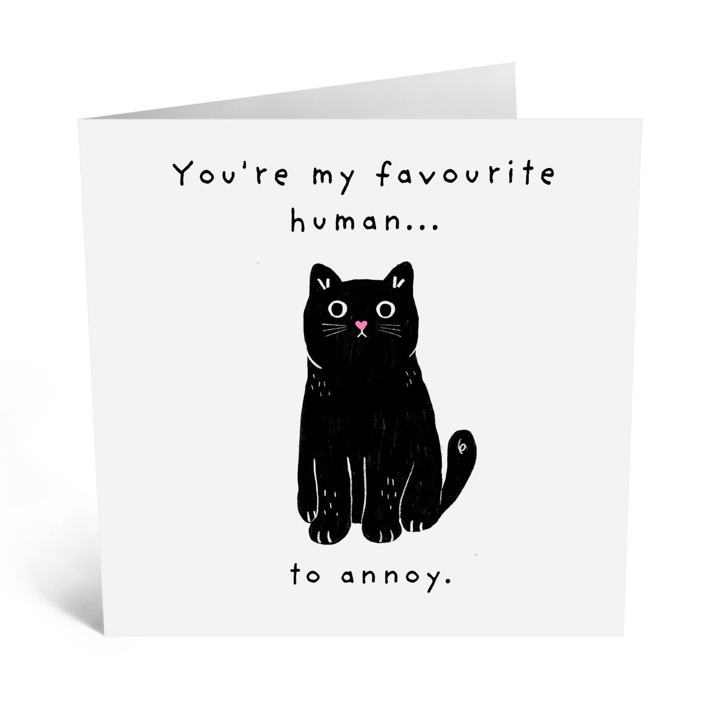 Funny Birthday Card - 'FAVOURITE HUMAN TO ANNOY!' - Perfect for Celebrating with Humor and Playfulness - Ideal for Friends Family Besties BFFs Girlfriend Boyfriend - Comes With Stickers By Central 23