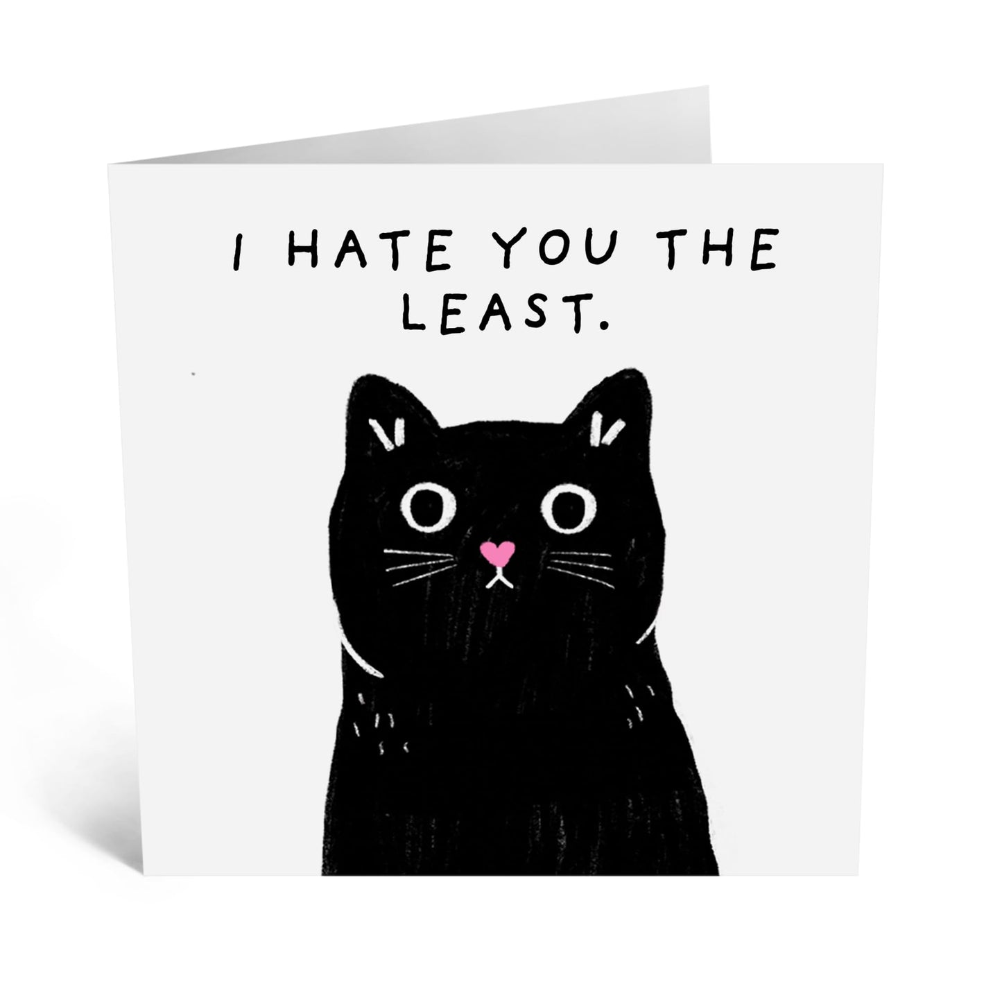 Funny Birthday Card - 'I HATE YOU THE LEAST!' - Perfect for Celebrating with a Playful Snark - Ideal for Friends Family Besties BFFs Sisters Boyfriend Girlfriend - Comes With Stickers By Central 23