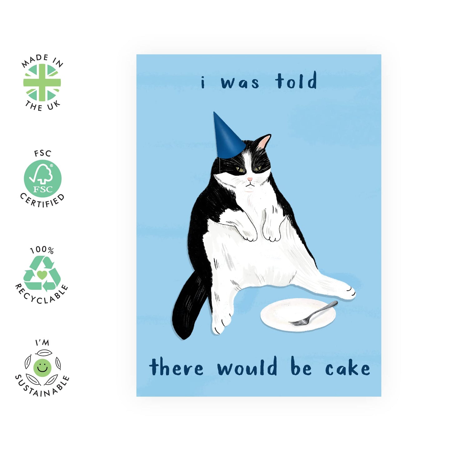 Cat Birthday Card Funny - 'I Was Told There Would Be Cake' - Cheeky Birthday Cards for Mum Dad Sister - Friends Birthday Card for Her Him - Comes with Fun Stickers - 4.7 x 6.7 - By Central 23