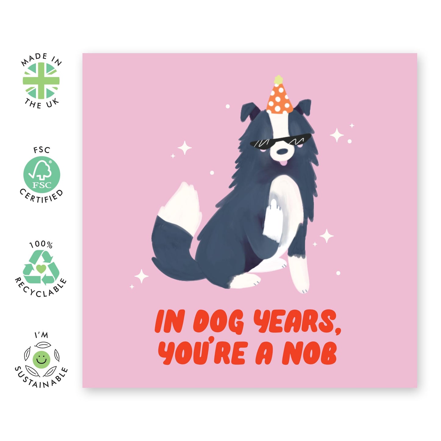 Rude Birthday Card For Men Women - In Dog Years - Funny Greeting Cards For Friends - Birthday Cards From Pet - Gifts For Dog Dad Mum - Comes With Stickers - By Central 23