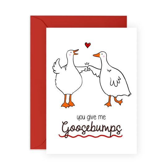Anniversary Card For Husband - Wife Valentines Card - You Give Me Goose Bumps - Boyfriend Birthday Card - I Love You Gifts For Him Her - Comes With Cute Stickers By Central 23