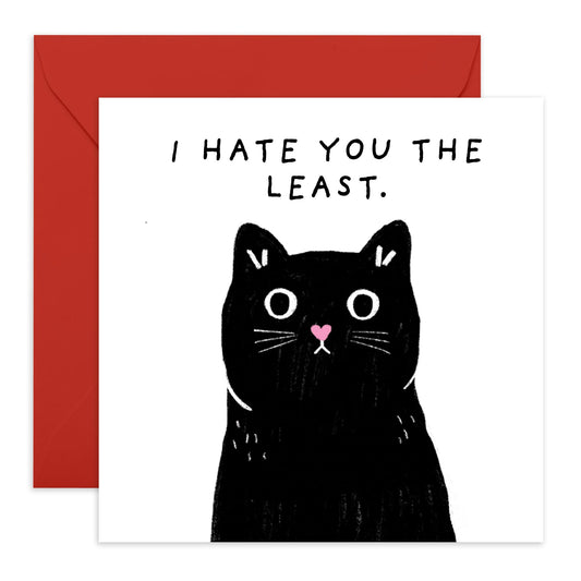 Funny Birthday Card - 'I HATE YOU THE LEAST!' - Perfect for Celebrating with a Playful Snark - Ideal for Friends Family Besties BFFs Sisters Boyfriend Girlfriend - Comes With Stickers By Central 23