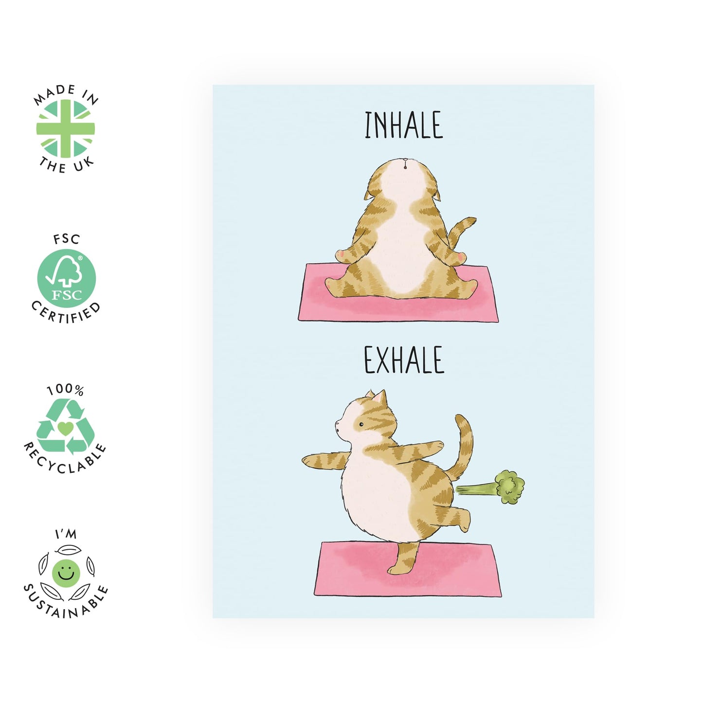 Funny Stretching Cat Birthday Card - 'Sh*t You Are Old' - Gifts for Yoga Buddies, Bestie, Best Friend, Partner, Sister, Brother, Colleague, Co-worker, Sister, BFF - Exhale - Comes with Fun Stickers