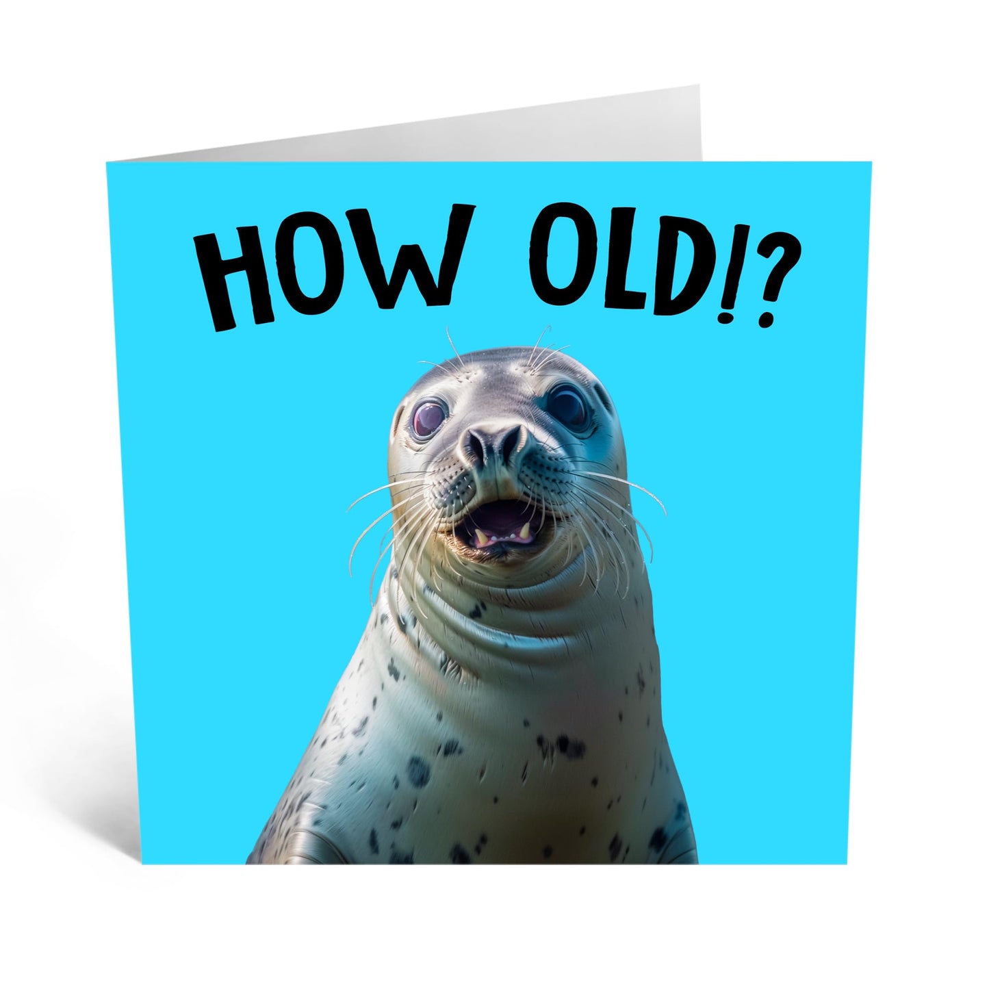Birthday Greeting Card - 'HOW OLD?! SEAL' - Perfect for Celebrating with a Splash of Humor - Ideal for Seal Enthusiasts and Adding a Playful Touch to Any Birthday - Comes With Stickers By Central 23