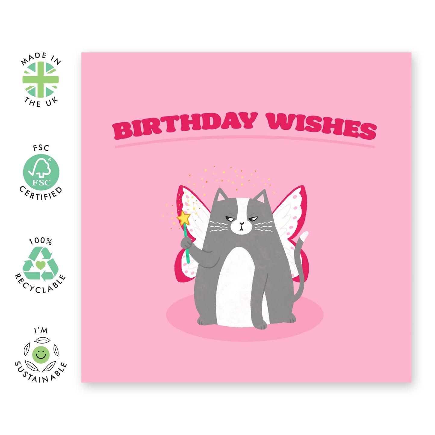 Funny Birthday Cards For Women - Grumpy Fairy Cat - Cheeky Cat Birthday Card For Girls - Fun Greeting Card Gifts For Cat Lovers - Comes With Stickers - By Central 23