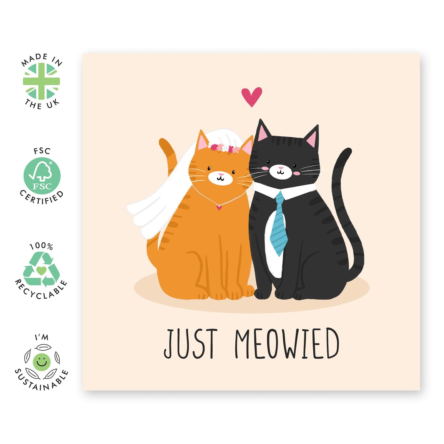 Funny Greeting Card - 'JUST MEOWIED' - Perfect for Celebrating Newlyweds with a Purr-fect Cat Theme - Ideal for Cat Lovers - Fun Way to Celebrate Their Special Day - Comes With Stickers By Central 23