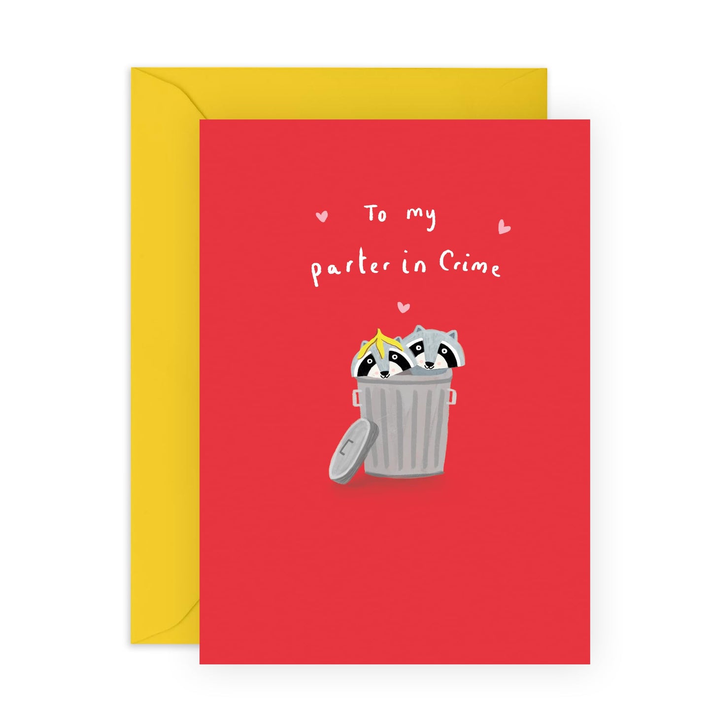 Cute Raccoons Anniversary Card - 'Partner In Crime' - Romantic Gifts for Wife, Husband, Boyfriend, Boyfie, Partner, Couples, Babe - Together in Everything - Comes with Fun Stickers