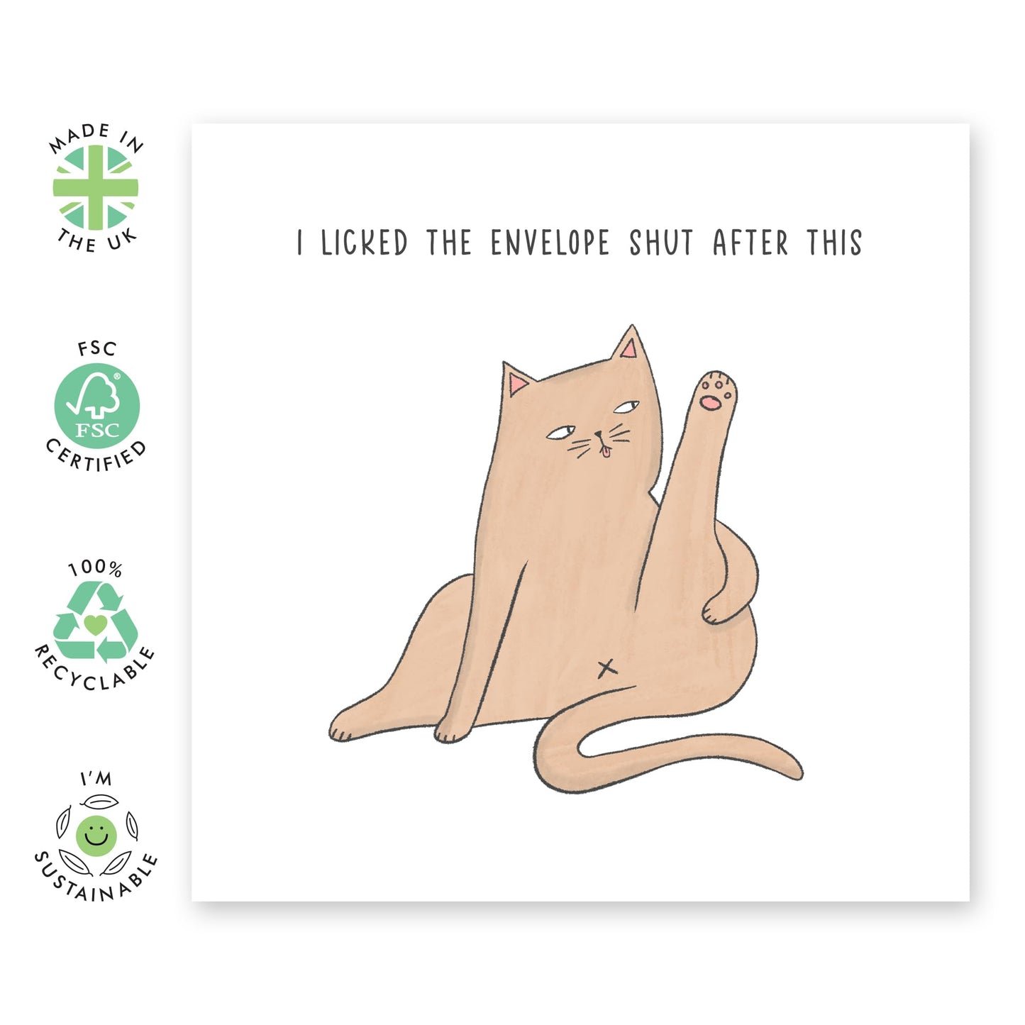 Funny Birthday Card For Men And Women - I Licked The Envelope Shut After This - Cat Birthday Card For Him Her Friends - Humorous Card From Pet - Comes With Fun Stickers - By Central 23