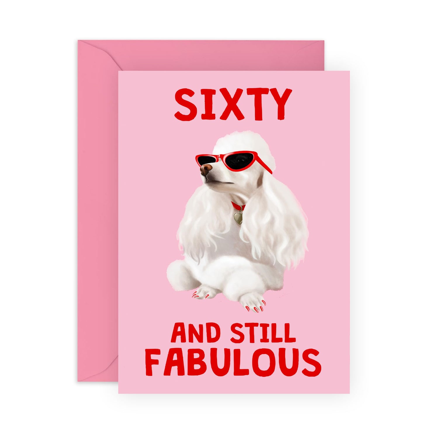 60th Birthday Card For Women - Sixty And Still Fabulous Dog - Wife Mum - Sister - Happy Sixtieth Birthday Greeting Card Female Friends - Comes With Fun Stickers - By Central 23