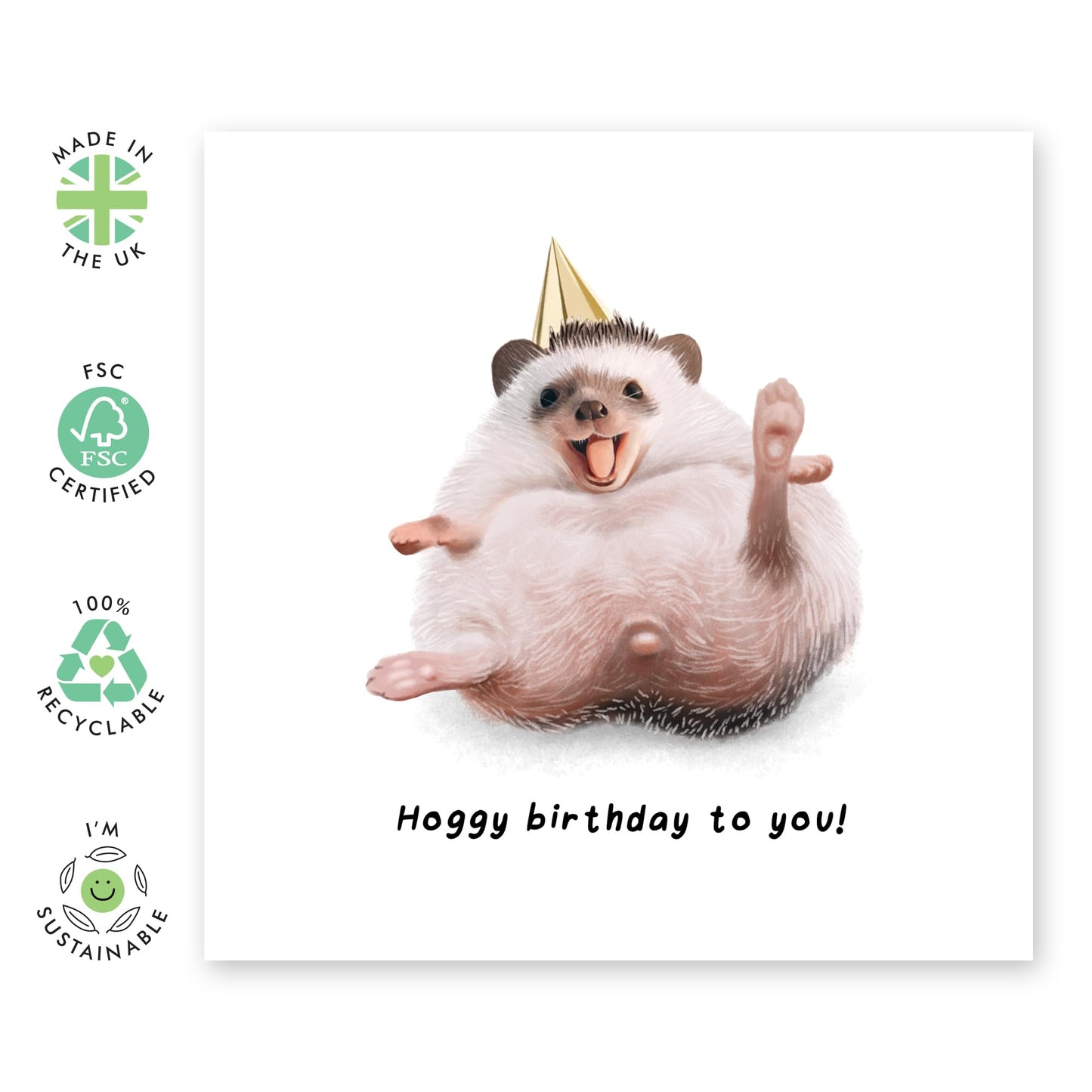 Cute Hedgehog Birthday Card - 'Hoggy Birthday' - Gifts for Friends, Buddies, BFF, Colleagues, Brother, Coworkers - Ready to Party - Comes with Fun Stickers