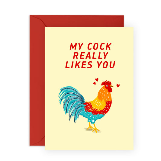 Valentines Day Card Girlfriend Boyfriend - My Cock Really Likes You - Anniversary Card Couple - Greeting Cards Fiance - Husband Wife - Naughty Greeting Cards - Comes With Fun Stickers By Central 23