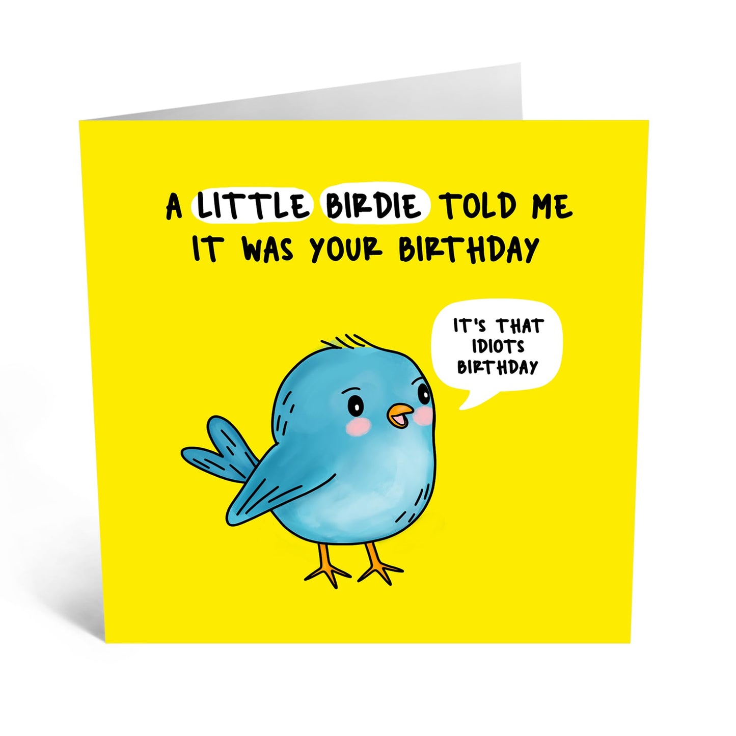 Charming Birthday Card - 'LITTLE BIRDIE' - Perfect for Adding a Sweet and Delightful Touch to Birthday Celebrations - Ideal for Him Her, Friends, Family, Colleagues - Comes With Stickers By Central 23