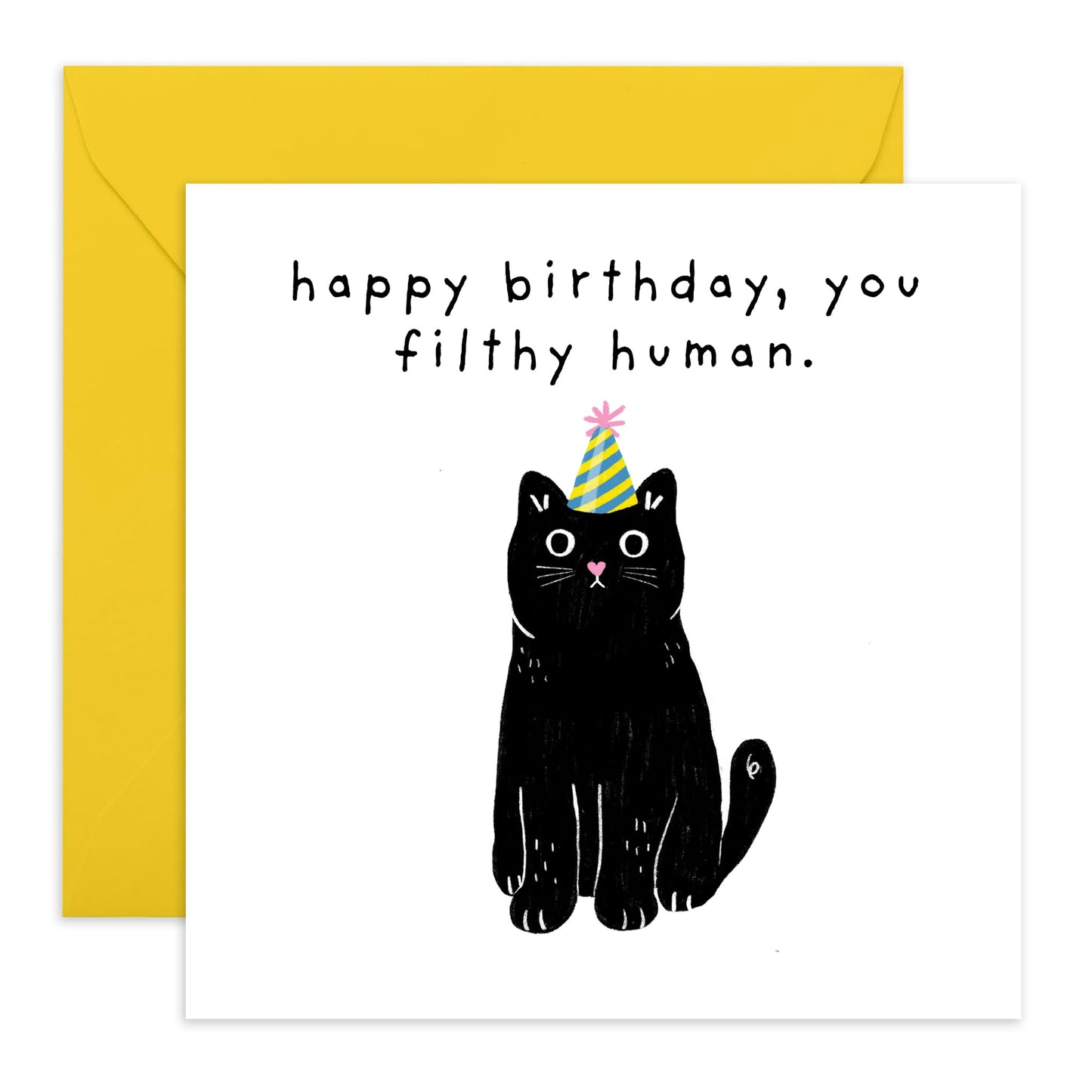Funny Birthday Card - 'FILTHY HUMAN, CAT!' - Perfect for Celebrating Cat Lovers' Birthdays with a Sassy Twist - Ideal for Friends Family Cat Owners BFFs Besties - Comes With Stickers By Central 23