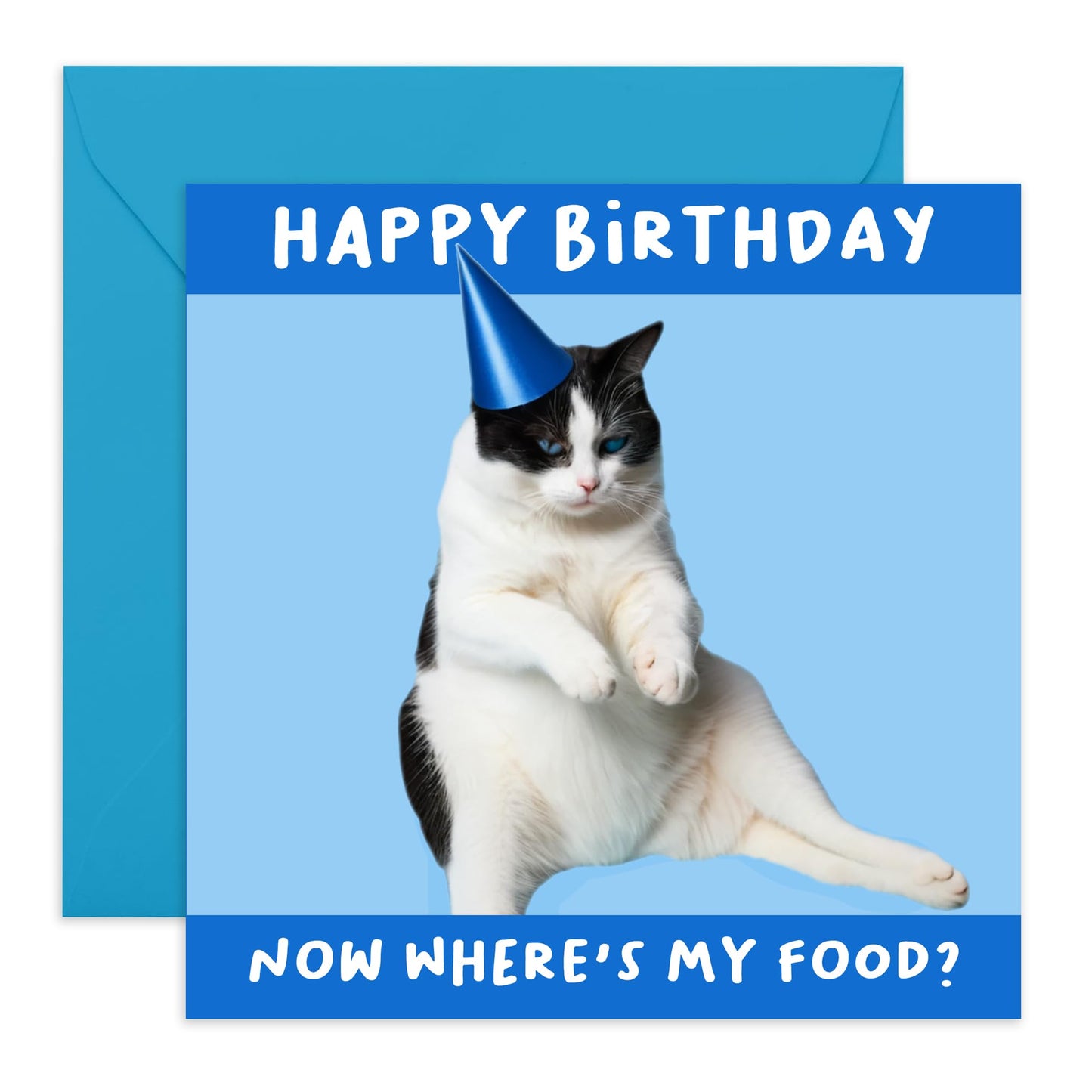 Hilarious Cat Birthday Card - 'Now Wheres My Food' - Jokes for BFFs, Best Friends, Buddies, Mates, Bruv, Bro, Sis, Family, Colleagues, Coworkers - Fat Cat - Comes with Fun Stickers