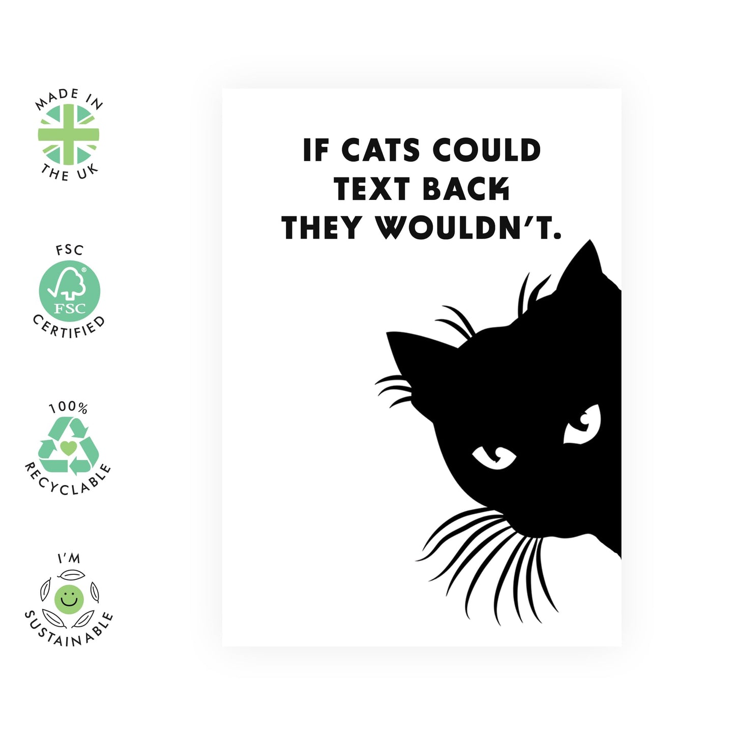 Cat Birthday Card For Women - If Cats Could Text Back - Humour Funny All Occasion - Humorous Greeting Cards For Men - Pet Owners - Comes With Stickers - By Central 23