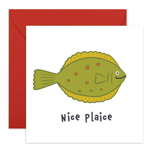 Congratulations Card For New House - Nice Plaice - New Home Card For Men Women - New Home Owners - Moving Away - New House Cards Congrats Gifts - Comes With Stickers By Central 23