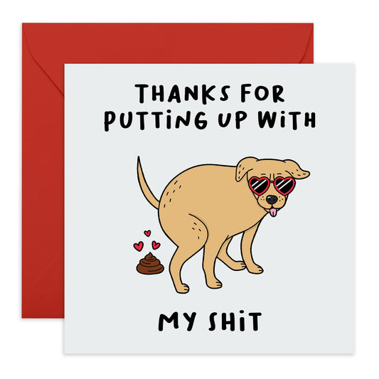 Love Card For Him Her - Thanks For Putting Up With My Shit - Valentines Day Card Girlfriend Boyfriend - Anniversary Card Couple Fiance - Husband Wife Greeting Card - Comes With Stickers By Central 23