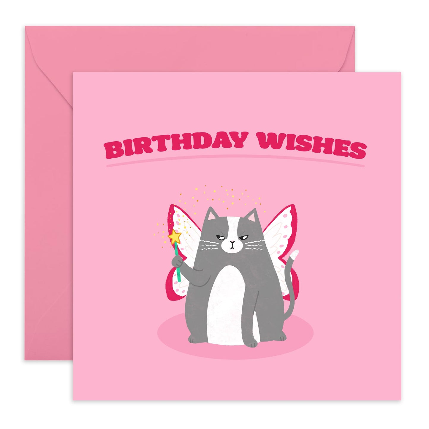 Funny Birthday Cards For Women - Grumpy Fairy Cat - Cheeky Cat Birthday Card For Girls - Fun Greeting Card Gifts For Cat Lovers - Comes With Stickers - By Central 23