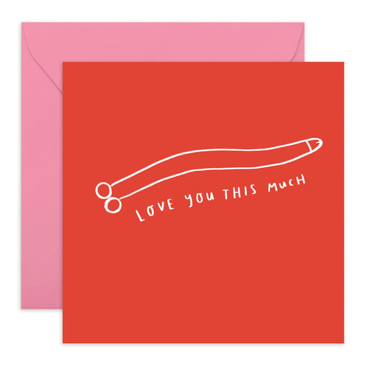 Wife Birthday Card - Love You This Much W*lly - Funny Anniversary Card For Women Girlfriend Husband - Naughty Valentines Card - Sexy Gifts For Her Partner - Comes With Stickers