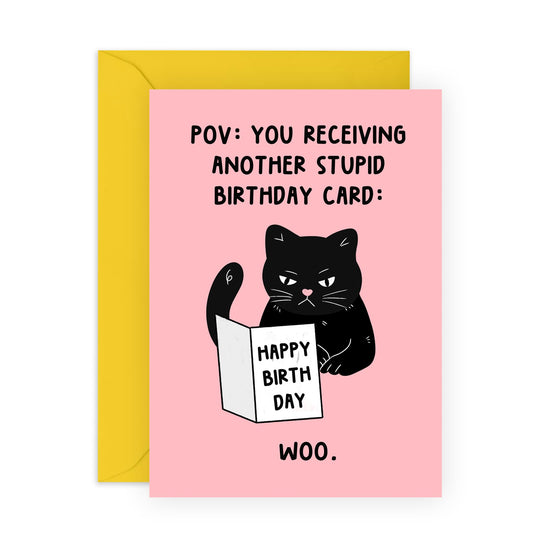 Cat Birthday Card Funny - Another Stupid Birthday Card - Humour Banter - Rude Birthday Greeting Cards For Men Women Pet Owners - Gifts For Him Her - Comes With Stickers - By Central 23