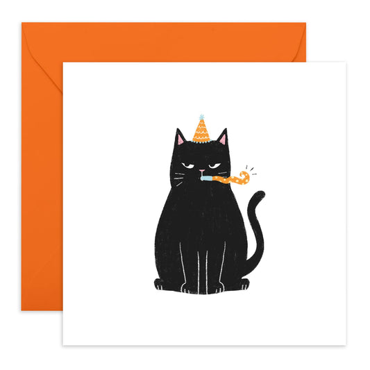 Cat Birthday Card For Women - Moody Birthday Cat - Funny Birthday Cards For Men - Sarcastic Humorous Birthday Cards - Friend Birthday Card Female - Comes With Stickers - By Central 23