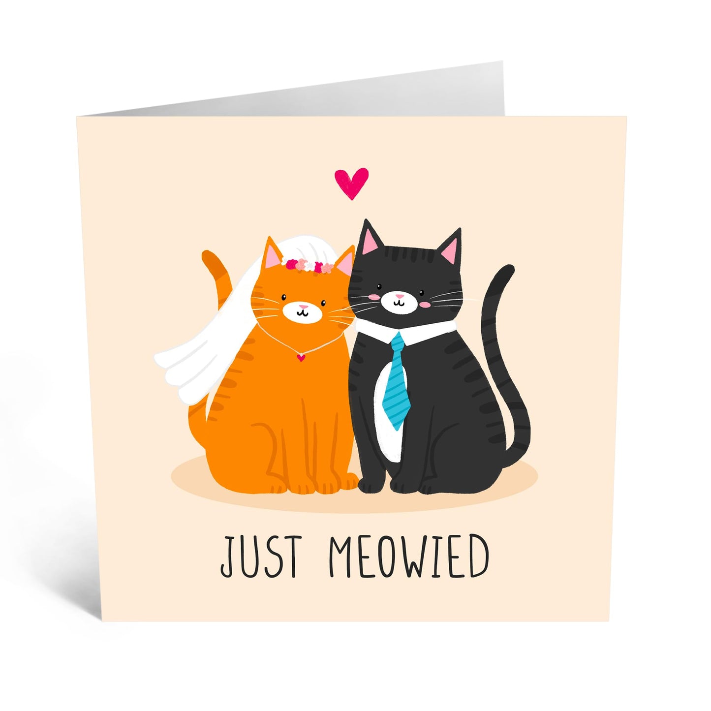 Funny Greeting Card - 'JUST MEOWIED' - Perfect for Celebrating Newlyweds with a Purr-fect Cat Theme - Ideal for Cat Lovers - Fun Way to Celebrate Their Special Day - Comes With Stickers By Central 23