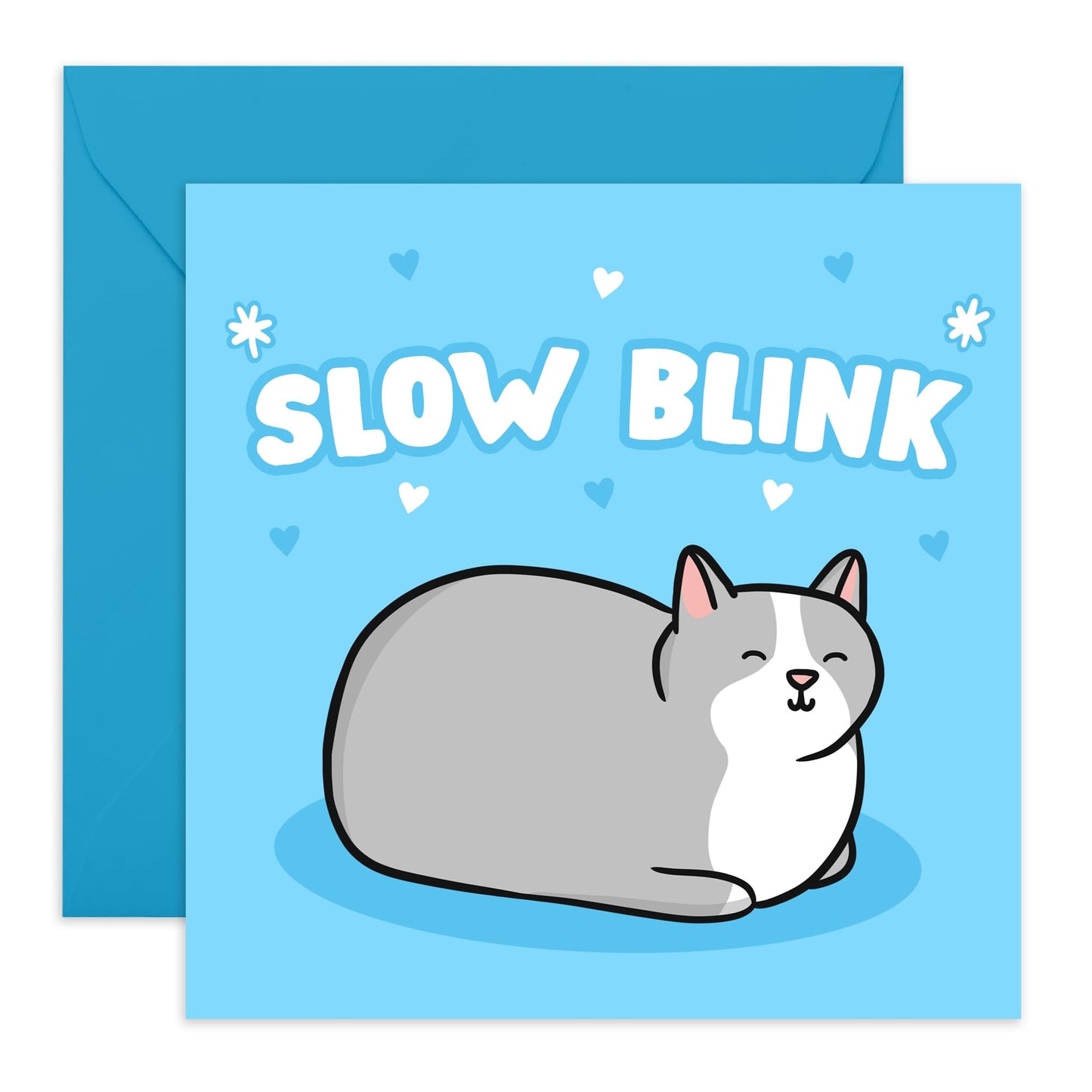 Birthday Card Boys Girls - Slow Blink Cat - Birthday Greeting Card For Teens - Birthday Gifts For Animal Lovers - Birthday Card For Friends - Comes With Fun Stickers By Central 23