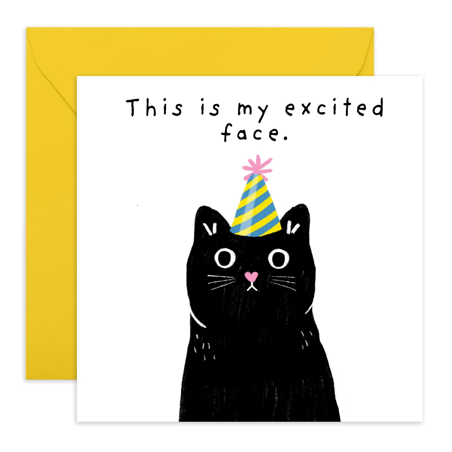 Birthday Greeting Card - 'EXCITED FACE CAT' - Perfect for Celebrating Birthdays with a Playful Feline Twist - Ideal for Cat Lovers Friends Family BFFs Besties Wife - Comes With Stickers By Central 23