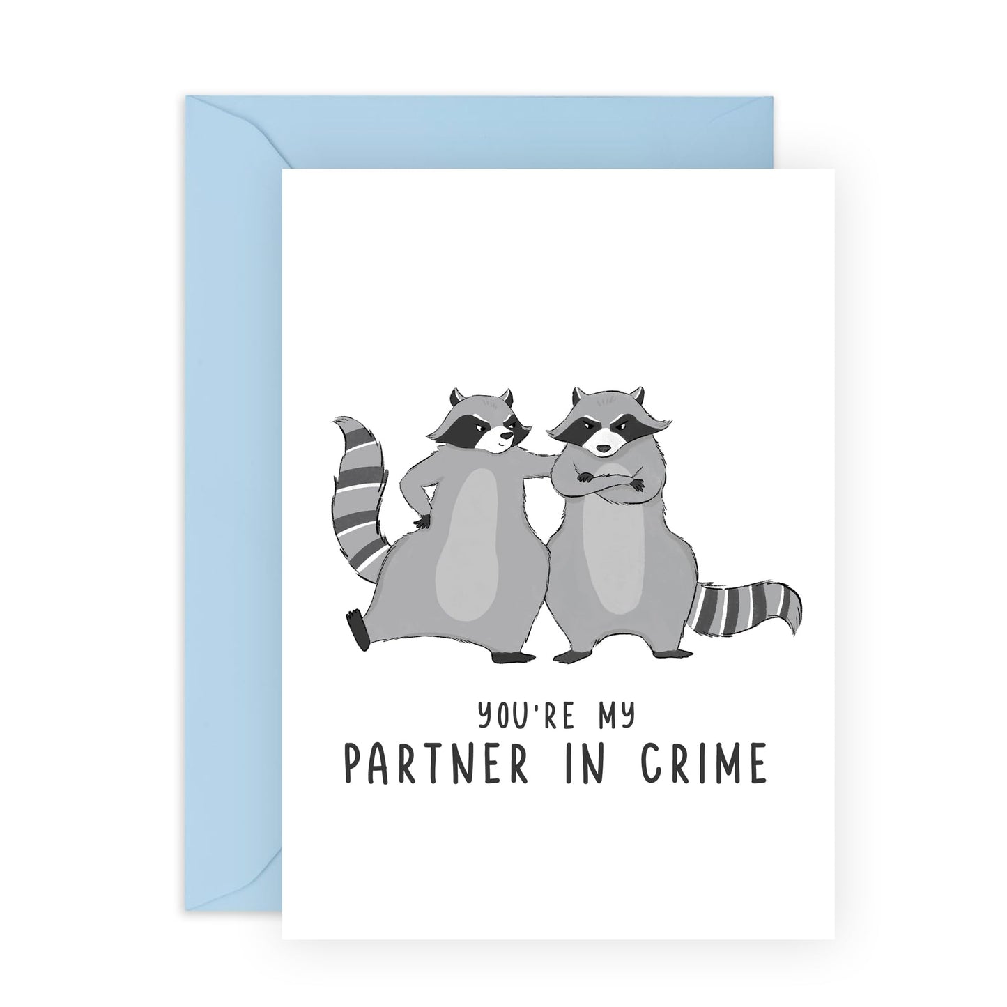 Anniversary Card For Couple - Raccoon Partner In Crime - Valentines Day Card Girlfriend Boyfriend - Greeting Cards For Fiance - Husband Wife - Comes With Fun Stickers By Central 23