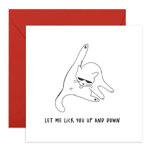 Cat Birthday Cards For Women - Lick You Up And Down - Funny Anniversary Card For Wife - Girlfriend Birthday Cards - Naughty Greeting Cards For Her - Cat Mum - Comes With Stickers - By Central 23