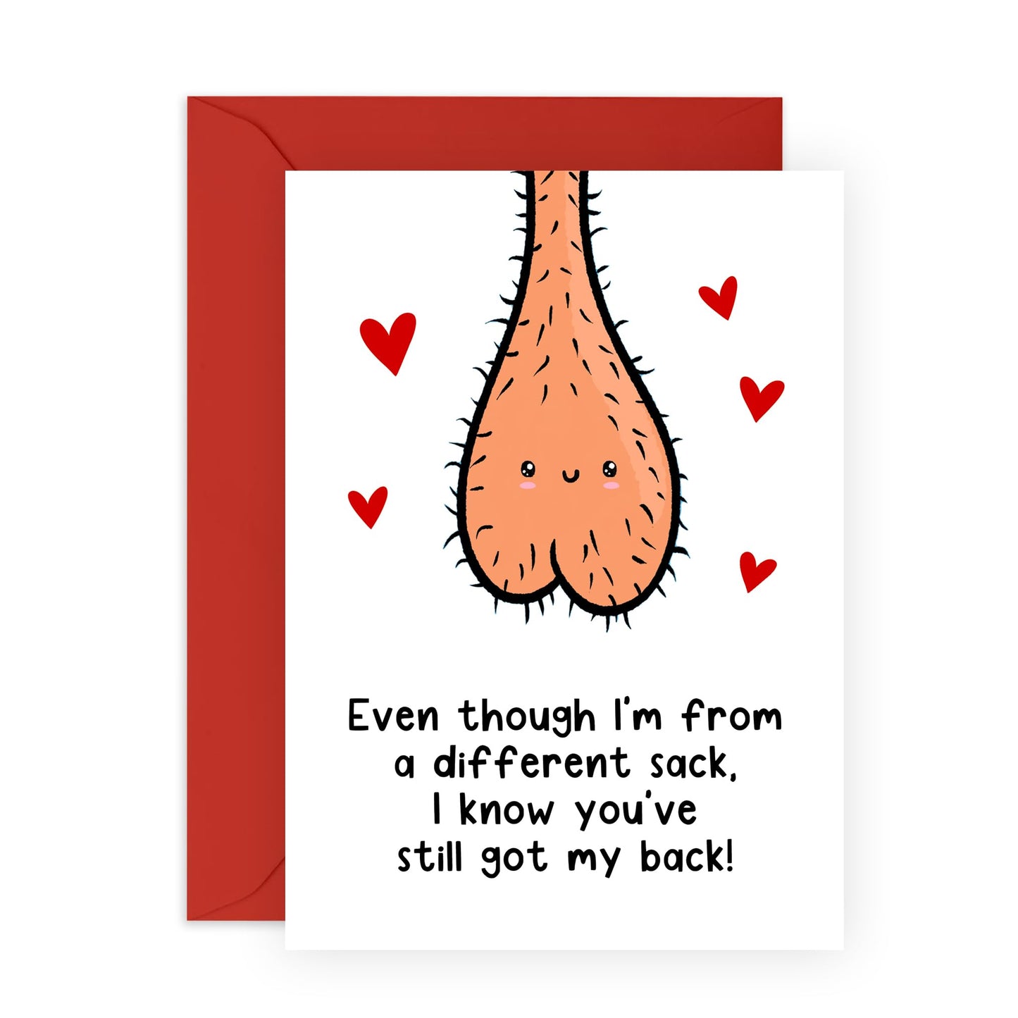 Wife Birthday Cards From Husband - I Know You've Still Got My Back - Naughty Anniversary Card For Her - Valentines Day Card For Girlfriend - Comes With Stickers - By Central 23