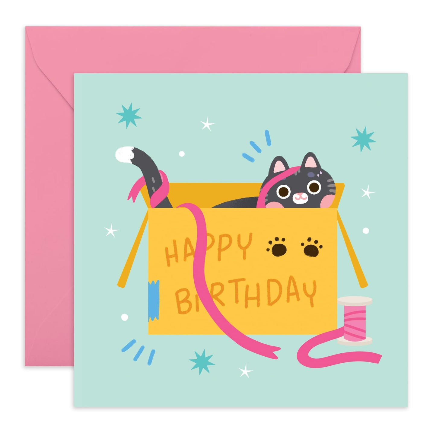 Funny Birthday Card For Women - Cat In A Box - Birthday Card Cat For Fur Parents Cat Mum - Kids Birthday Card - Gifts For Her - Comes With Stickers - By Central 23