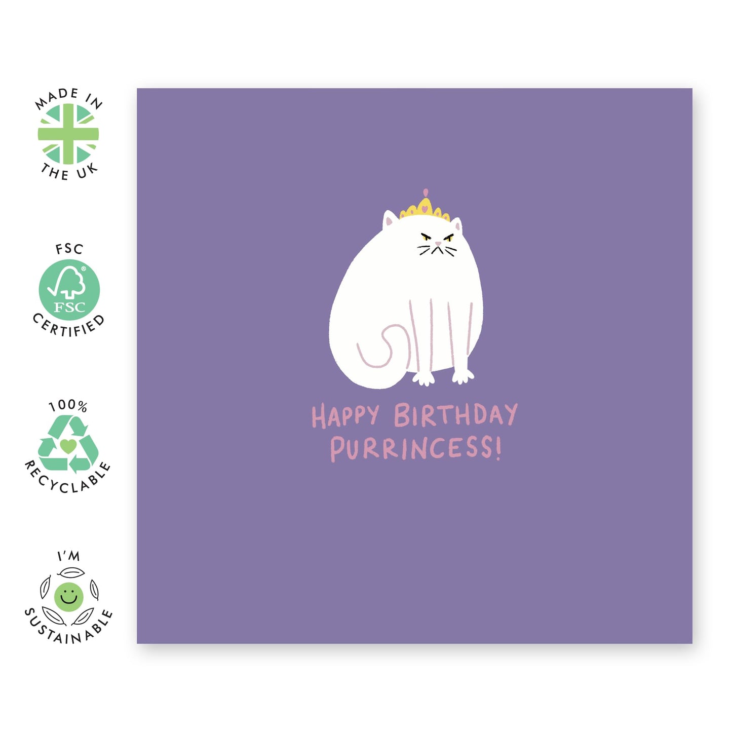 Cat Birthday Card - Purrincess Cat - Funny Birthday Card For Men And Women - Birthday Gifts For Cat Lovers - Birthday Card For Friends Pet Owners - Comes With Fun Stickers By Central 23