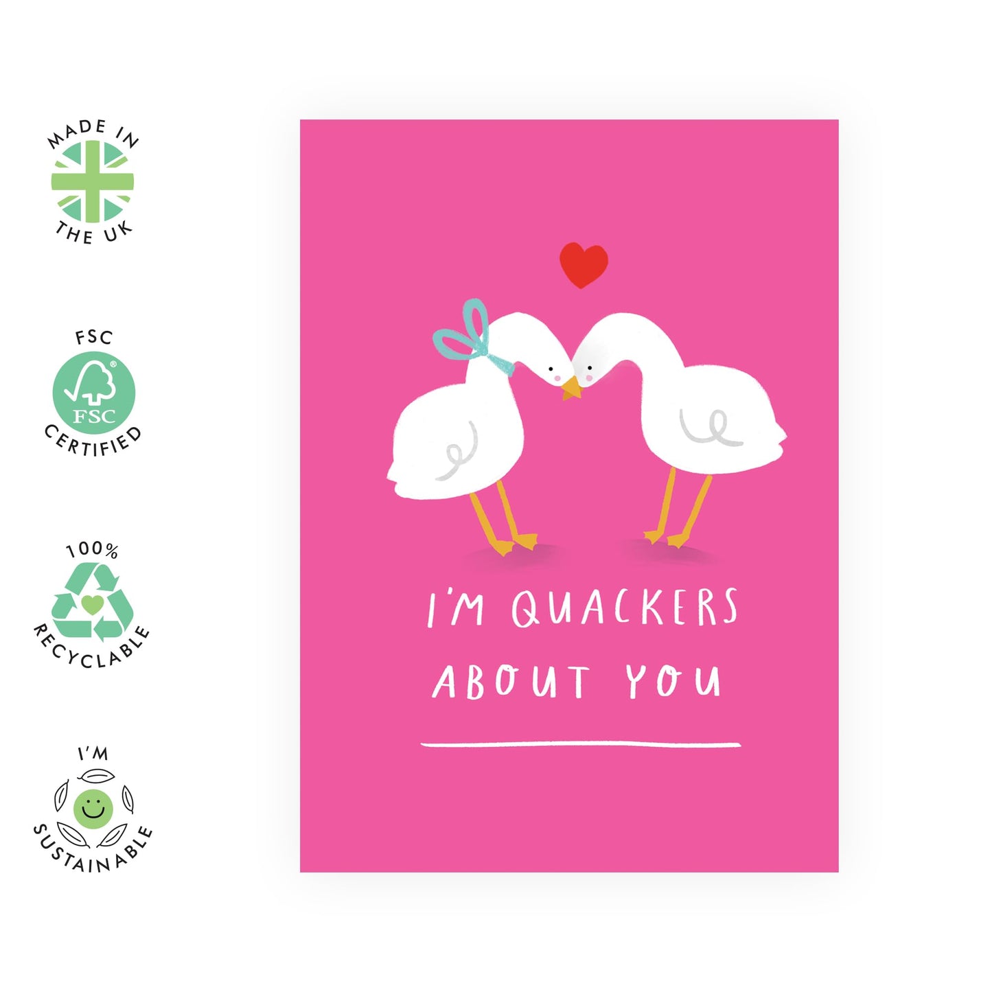 Fun Greeting Card - 'QUACKERS ABOUT YOU' - Perfect for Adding a Bold and Playful Touch to Your Message - Ideal for Friends Who Appreciate a Vibrant and Quirky Note - Comes With Stickers By Central 23