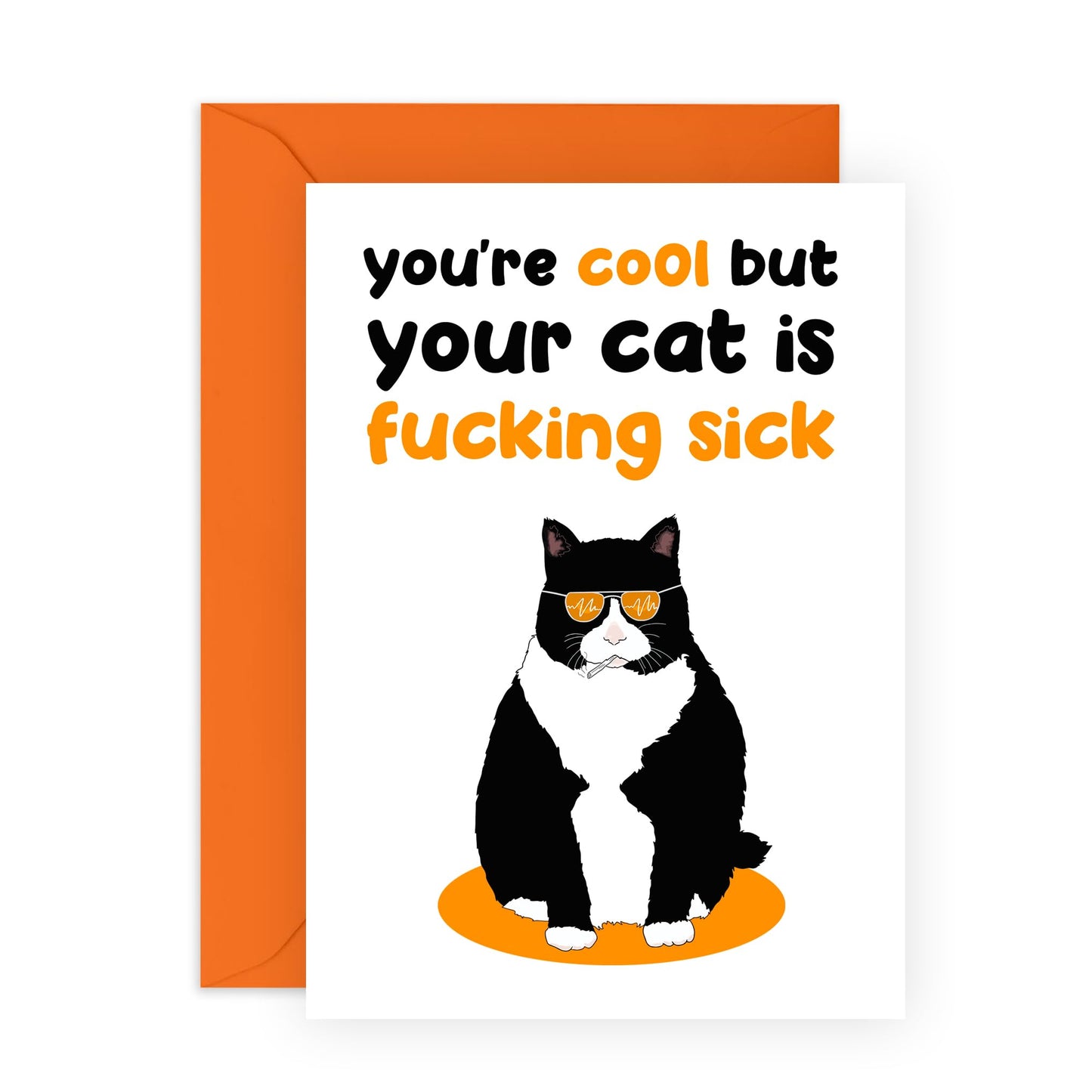 Special Friend Card Funny - You're Cool But Your Cat Is F*cking Sick - Sarcasm Humour Valentine Cards For Girlfriend Boyfriend - Comes With Stickers By Central 23