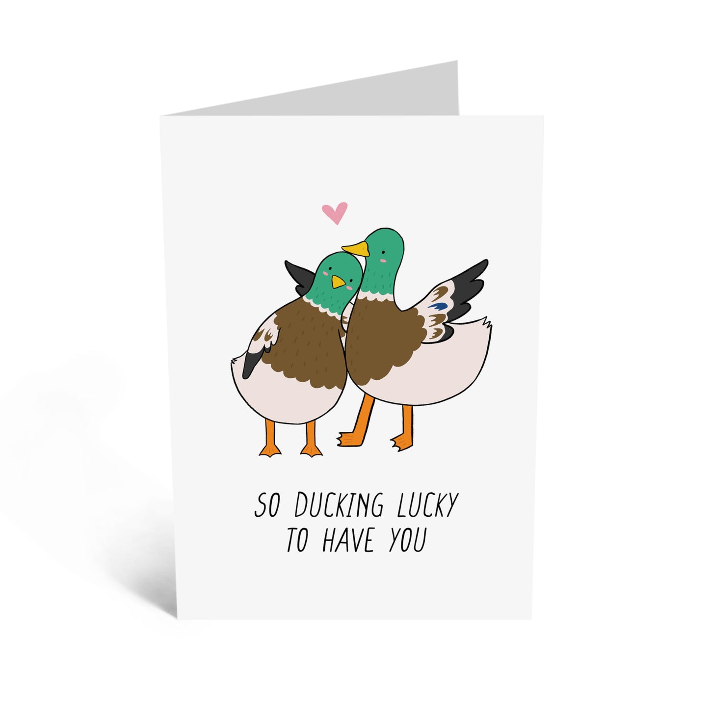 Quirky Greeting Card - 'DUCKING LUCKY TO HAVE YOU' - Ideal for Friends Family and Loved Ones Who Love Humor - Perfect for Any Occasion Celebrating Special Bonds - Comes with Stickers by Central 23