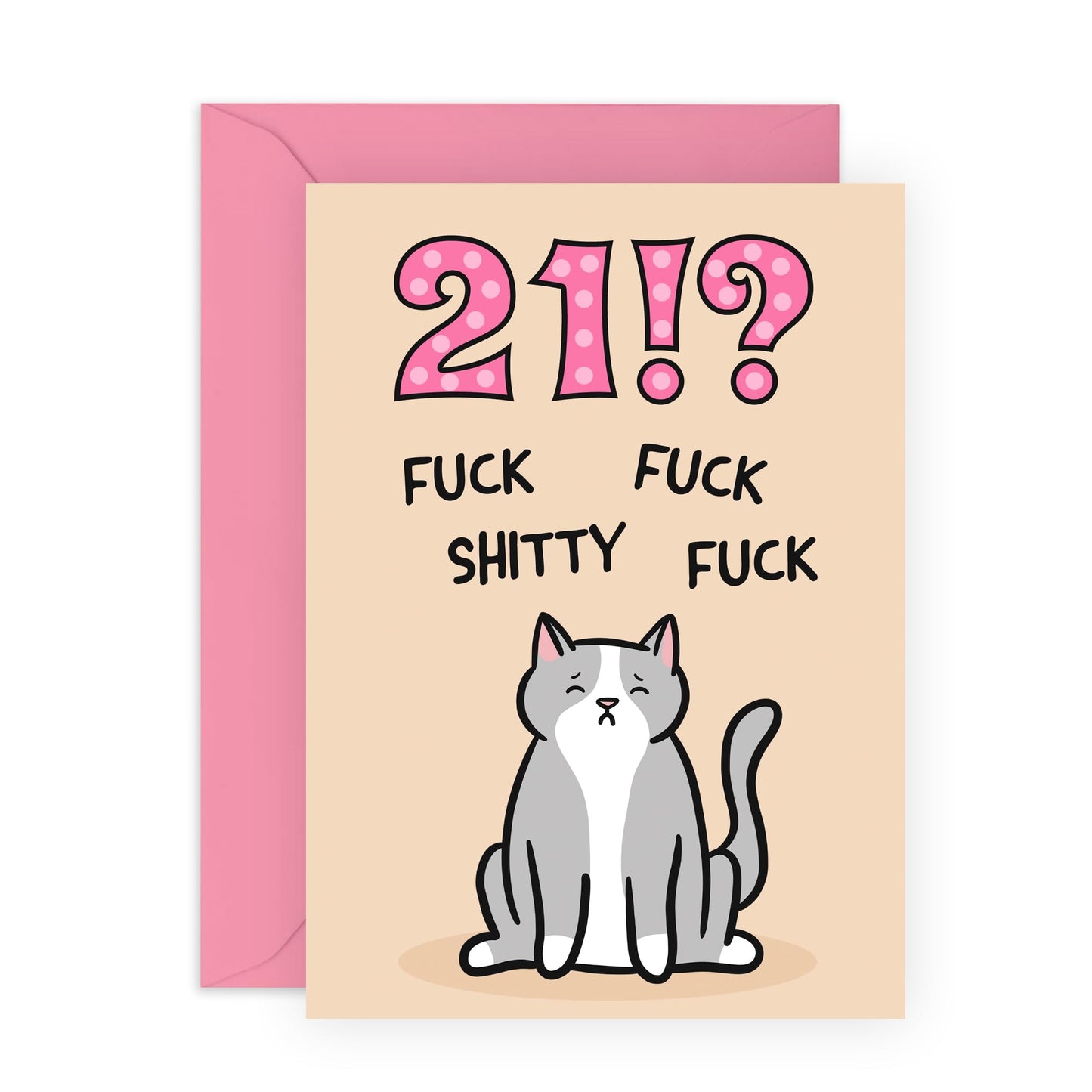 21st Birthday Card For Him - 21 F*ckity F*ck Cat - Funny Birthday Cards For Her Age Twenty-one - Twenty First Bday Gifts For Men Women - Pet Mum And Dad Fur Parents - Comes With Stickers By Central