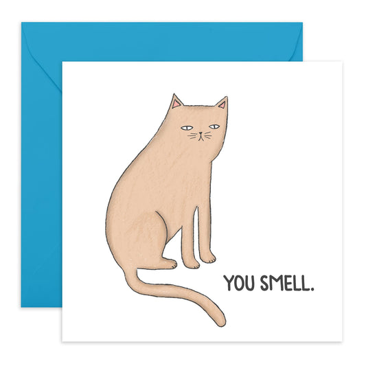 Funny Cat Birthday Card - You Smell - Cheeky All Occasion Card For Men And Women - Birthday Card For Sister Brother - Best Friend - Comes With Fun Stickers - By Central 23