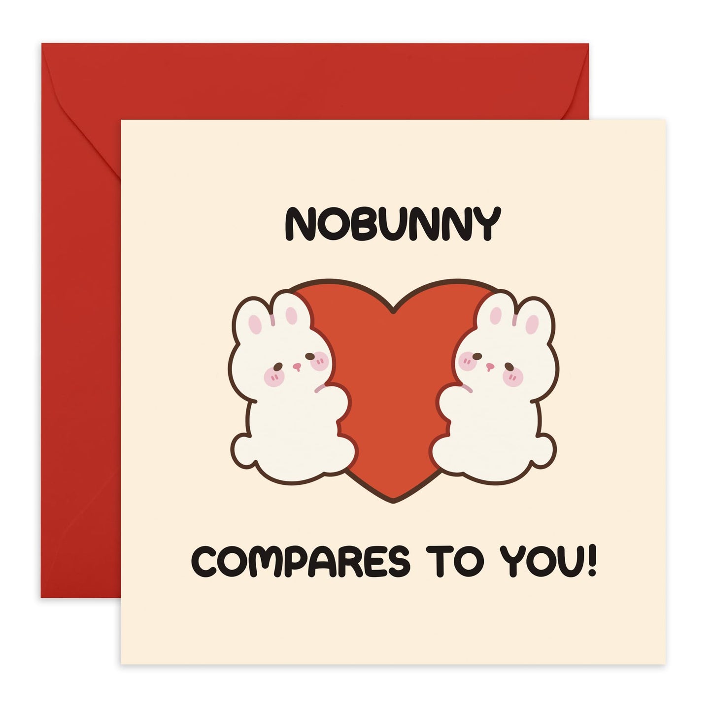 Husband Birthday Card From Wife - No Bunny Compares To You - Funny Valentine Card For Girlfriend - Boyfriend Birthday Cards - Gifts For Him Her - Comes With Stickers By Central 23