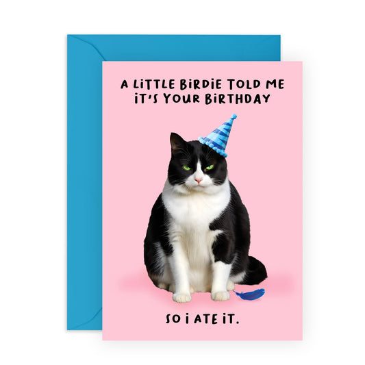Funny Birthday Card - 'LIL BIRDIE CAT BIRTHDAY' - Ideal for Cat Enthusiasts and Those Who Loves humor - Perfect for Celebrating a Feline Friend’s Special Day - Comes with Stickers by Central 23