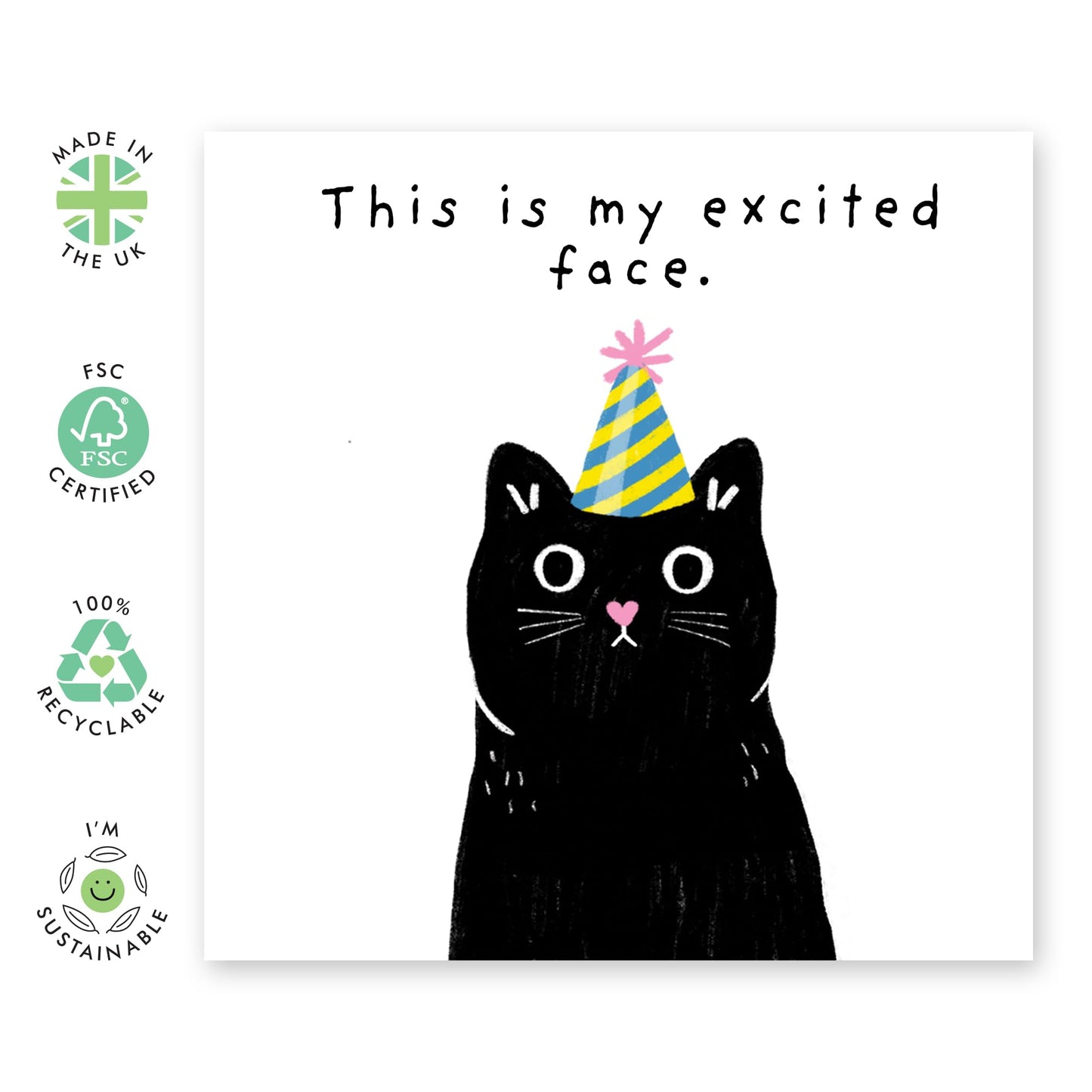 Birthday Greeting Card - 'EXCITED FACE CAT' - Perfect for Celebrating Birthdays with a Playful Feline Twist - Ideal for Cat Lovers Friends Family BFFs Besties Wife - Comes With Stickers By Central 23