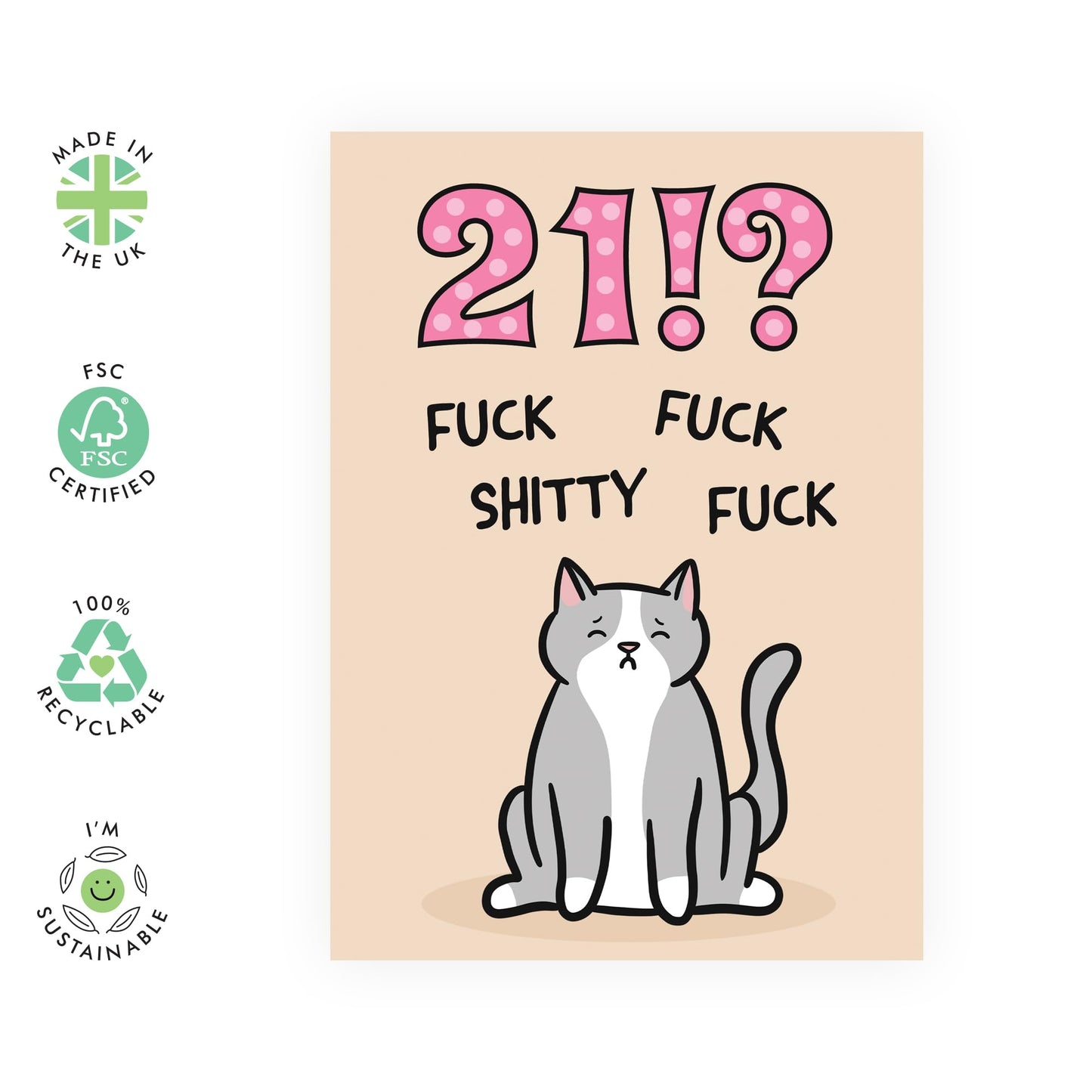 21st Birthday Card For Him - 21 F*ckity F*ck Cat - Funny Birthday Cards For Her Age Twenty-one - Twenty First Bday Gifts For Men Women - Pet Mum And Dad Fur Parents - Comes With Stickers By Central