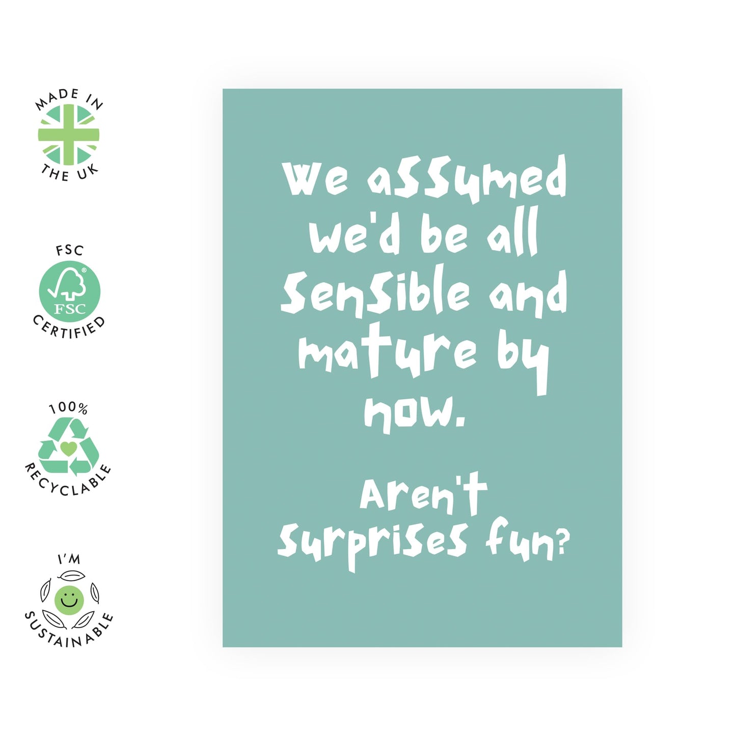 Birthday Card Friend - Sensible And Mature By Now - Funny Birthday Cards For Men Women - Brother Sister Birthday Card - Cheeky Gifts For Her Him - Comes With Stickers - By Central 23