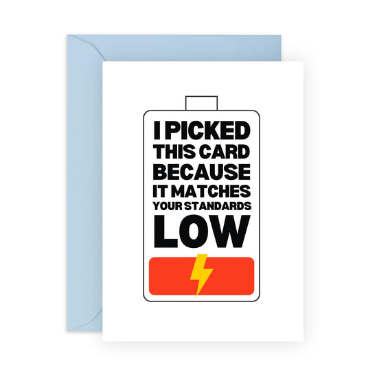 Funny Greeting Card - 'LOW STANDARDS!' - Perfect for Adding a Touch of Humor and Realism to Any Occasion - Ideal for Friends and Family Who Appreciate a Laugh - Comes With Stickers By Central 23