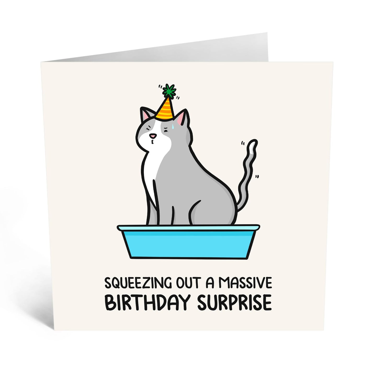 Adorable Greeting Card - 'CAT SQUEEZING BIRTHDAY SURPRISE' - Featuring a Cute Cat Illustration for a Purr-fect Birthday Greeting - Ideal for Cat Lovers and Friends - Comes With Stickers By Central 23