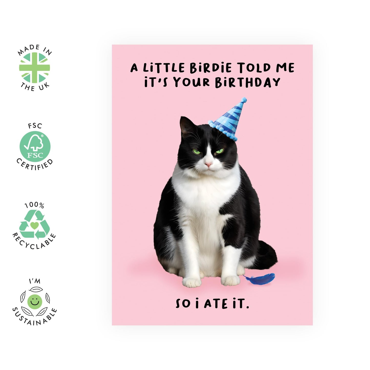 Funny Birthday Card - 'LIL BIRDIE CAT BIRTHDAY' - Ideal for Cat Enthusiasts and Those Who Loves humor - Perfect for Celebrating a Feline Friend’s Special Day - Comes with Stickers by Central 23